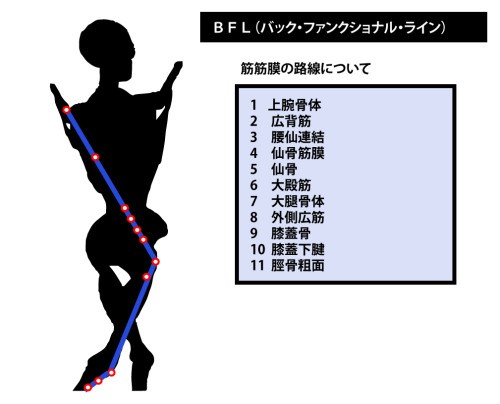 東御市,上田市,小諸市,整体,指圧,ほぐしや,マッサージ,アナトミー・トレイン